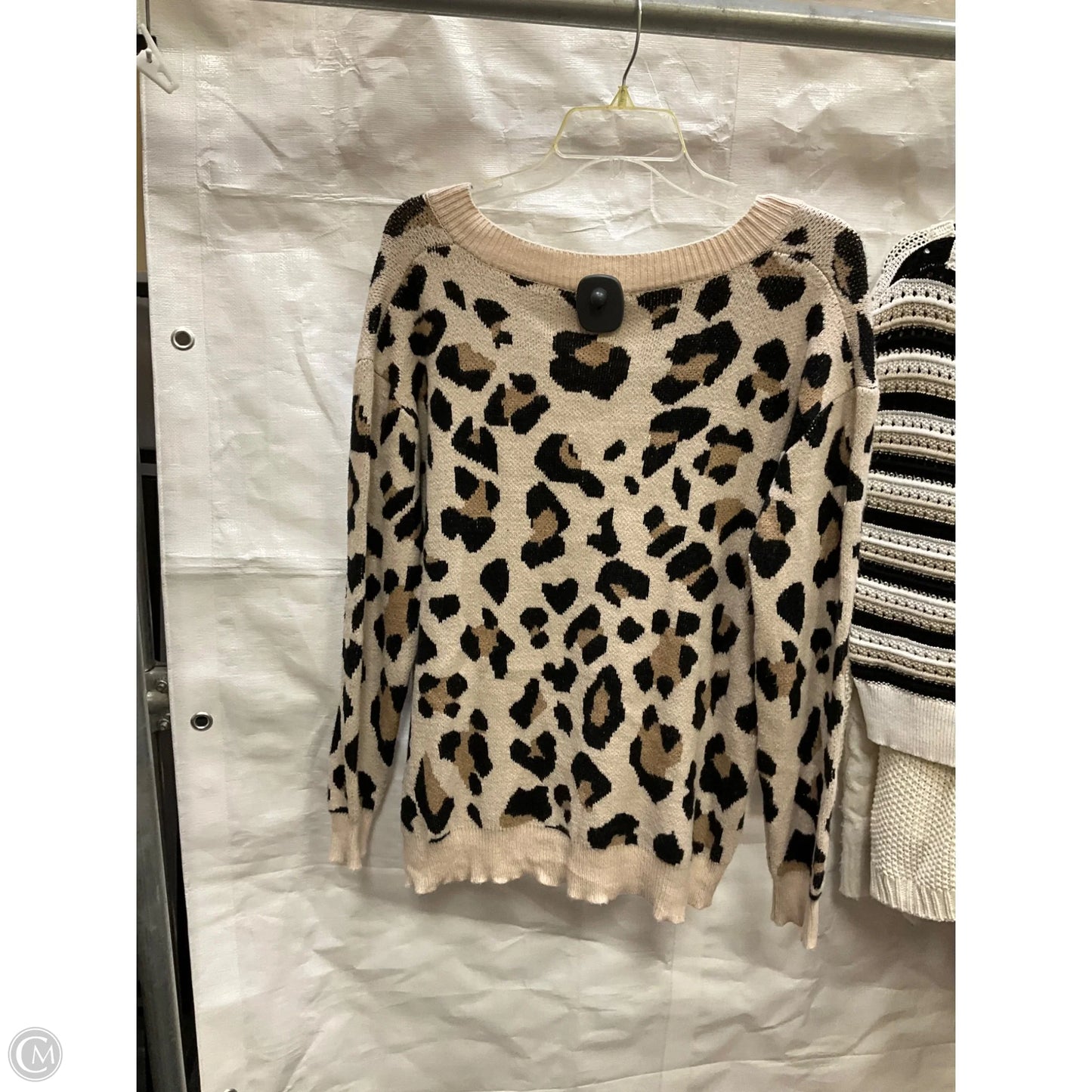 Sweater By Entro In Leopard Print, Size: S