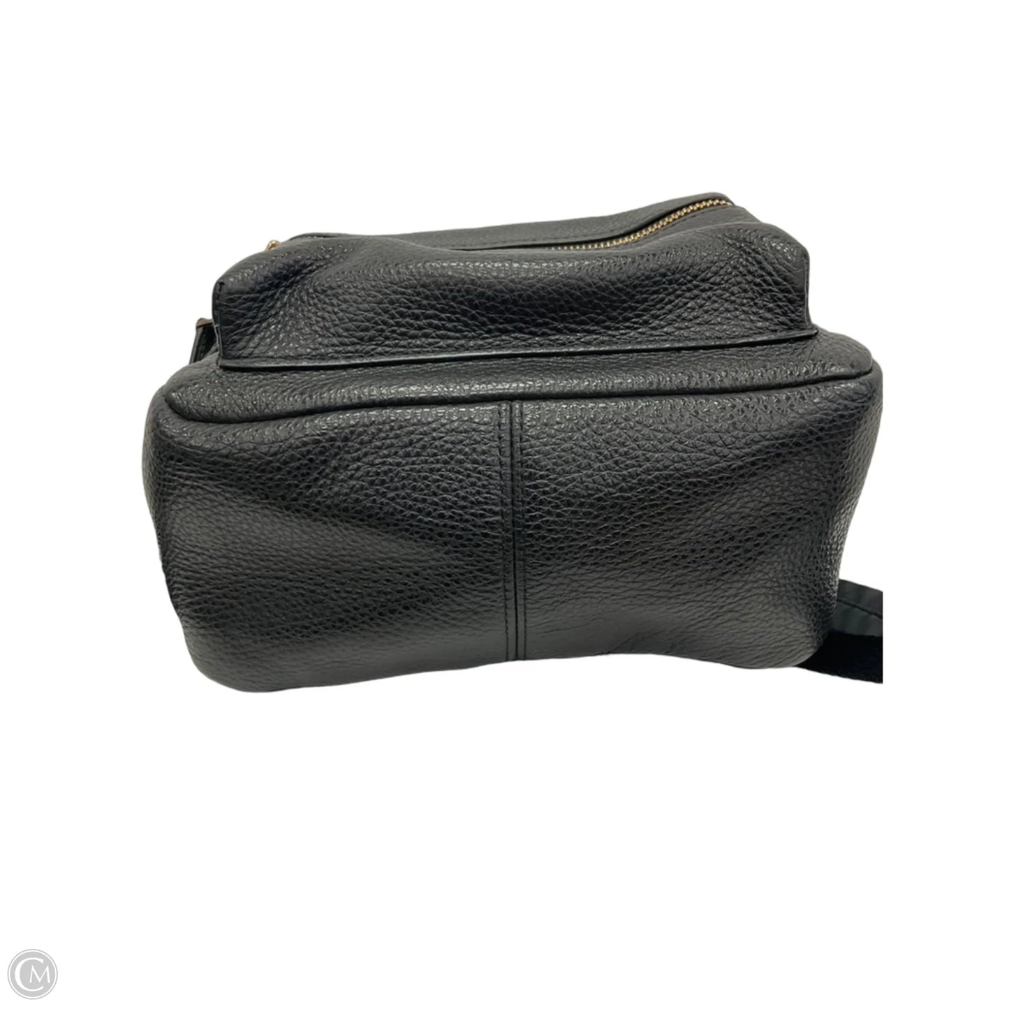 Handbag Designer By Coach, Size: Small