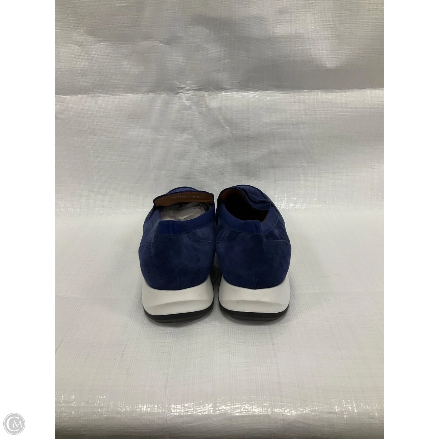 Shoes Flats By Aquatalia In Blue, Size: 7.5