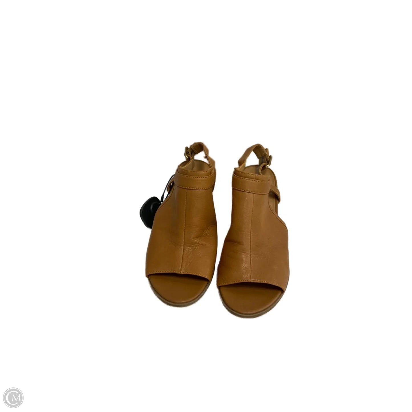 Shoes Heels Block By Franco Sarto In Brown, Size: 9.5