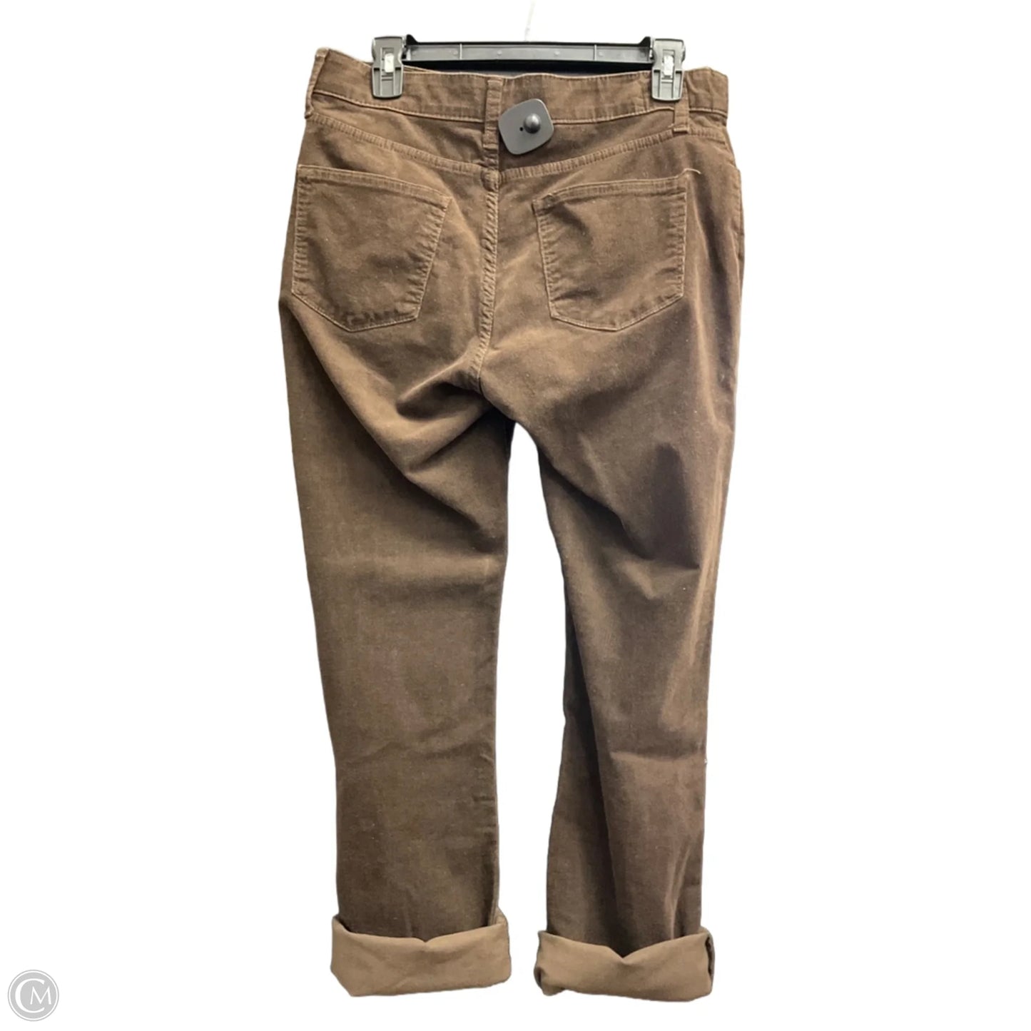 Pants Corduroy By St Johns Bay In Brown, Size: 8