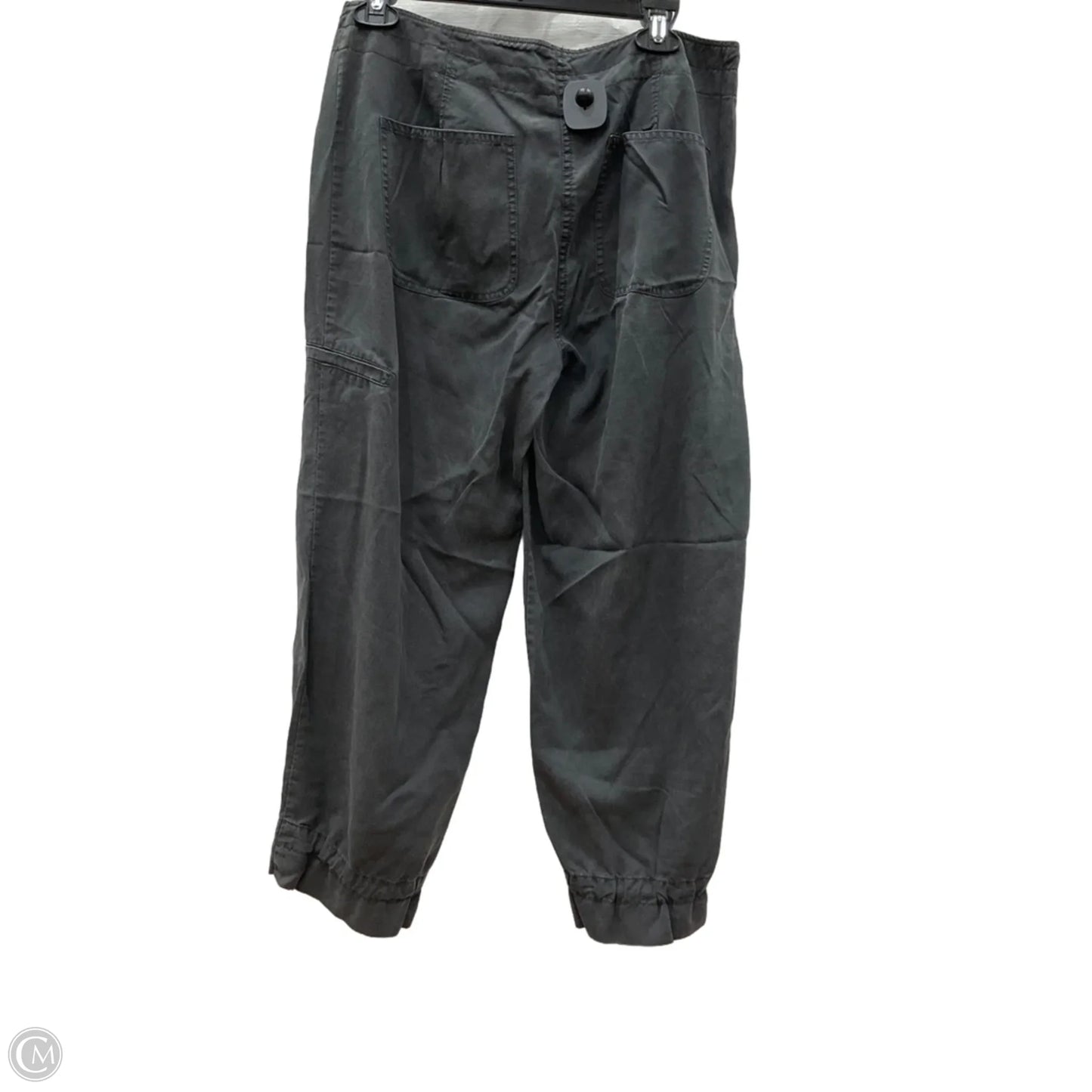 Pants Cargo & Utility By Eileen Fisher In Grey, Size: S