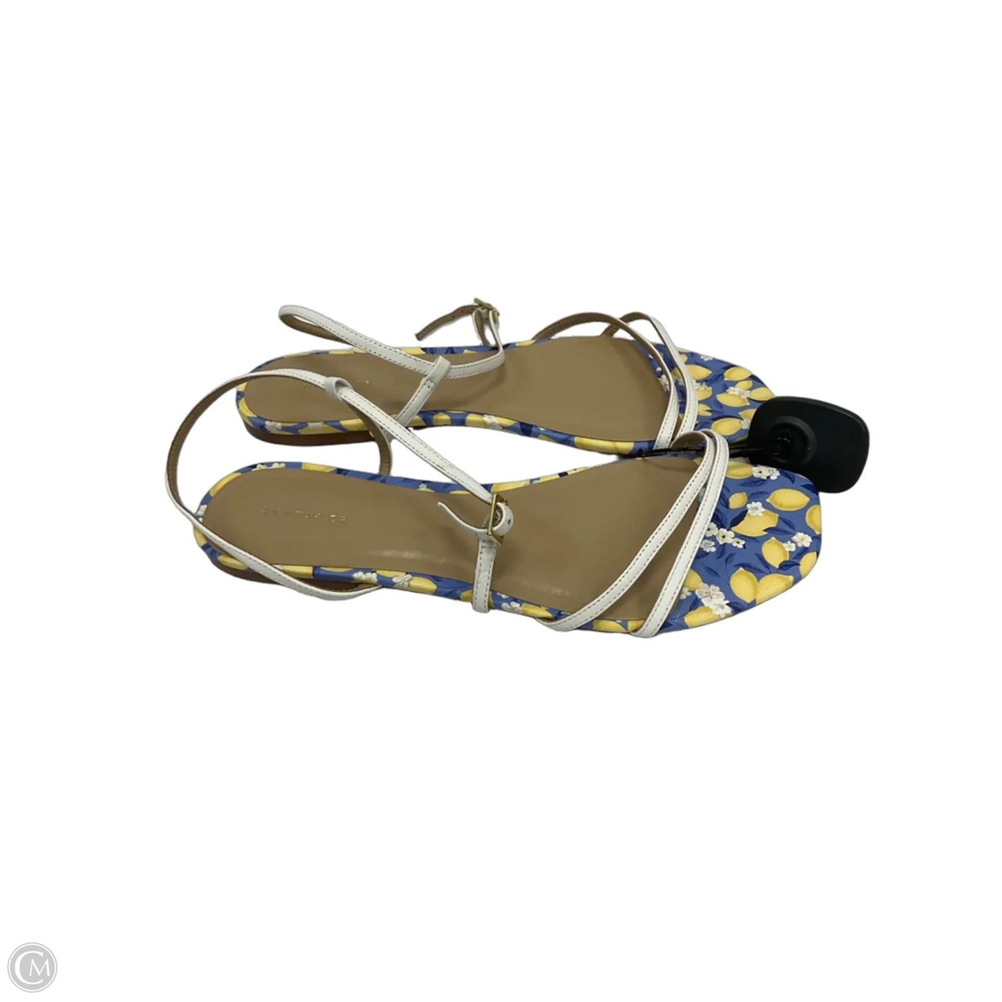 Sandals Flats By Ann Taylor In Blue, Size: 9.5