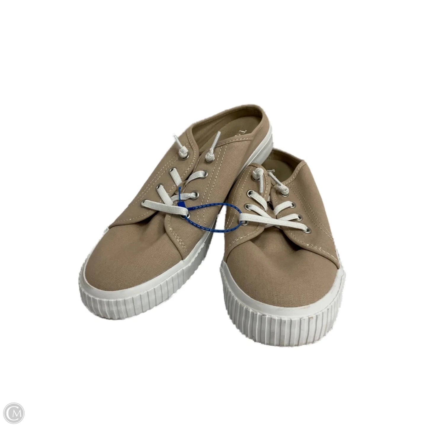 Shoes Sneakers By Timberland In Beige, Size: 8