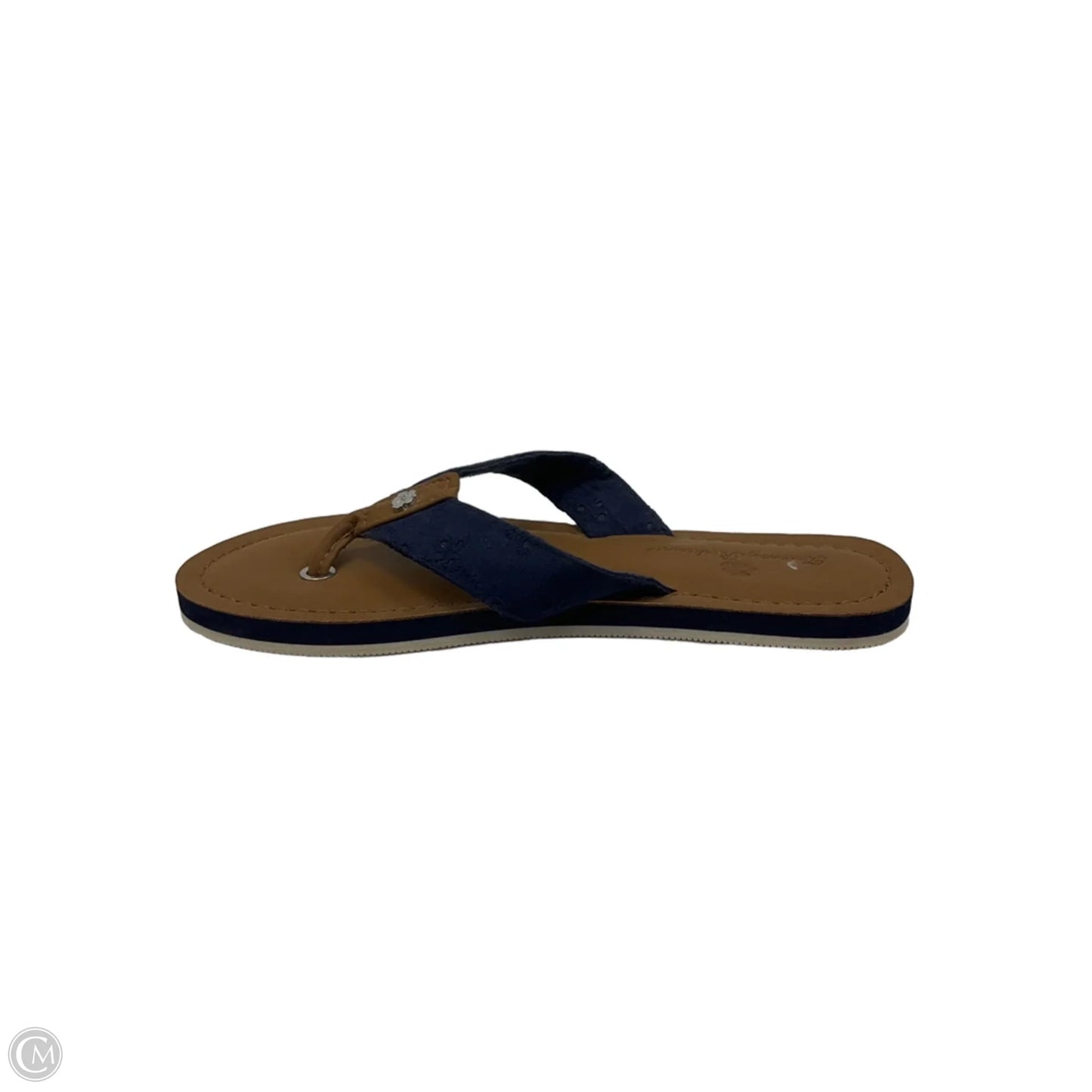 Sandals Flip Flops By Tommy Bahama In Blue & Brown, Size: 6