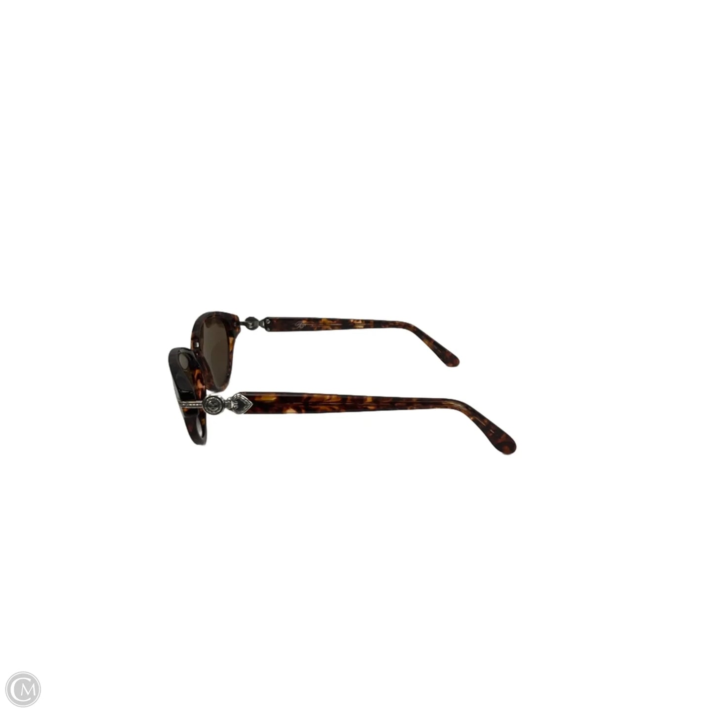 Sunglasses By Brighton
