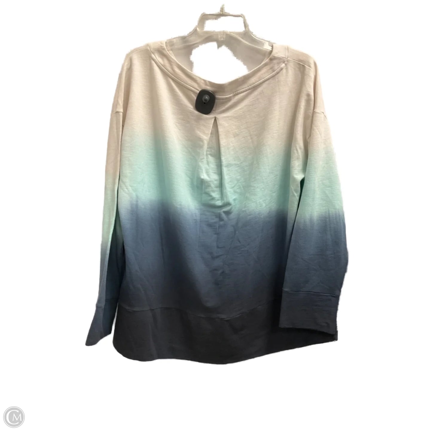 Sweatshirt Crewneck By Talbots In Blue & White, Size: L