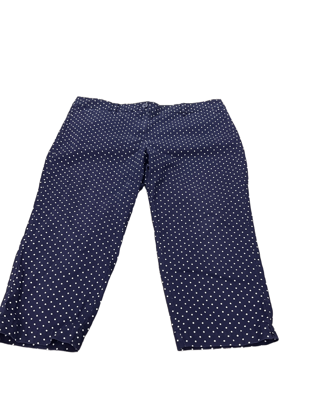 Capris By Loft Size: 14p