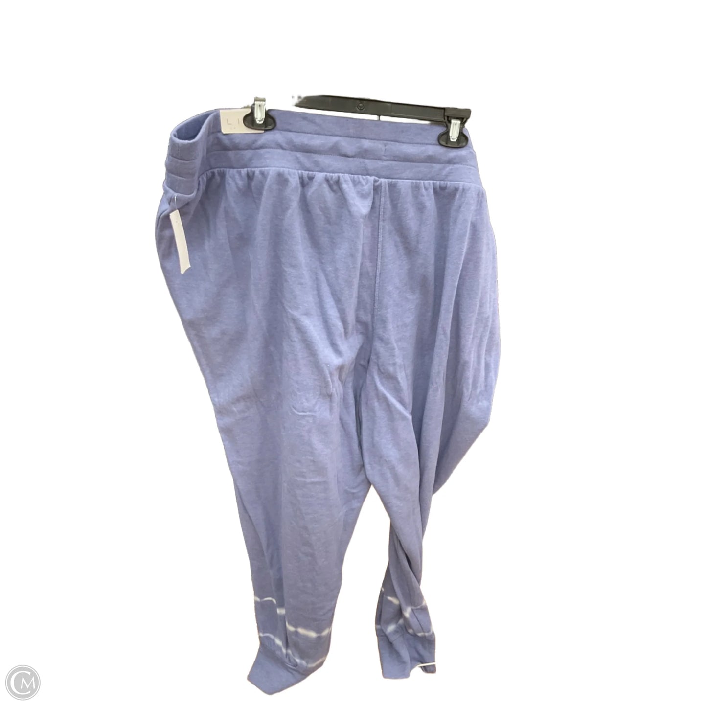 Athletic Pants By Livi Active In Blue, Size: 4x