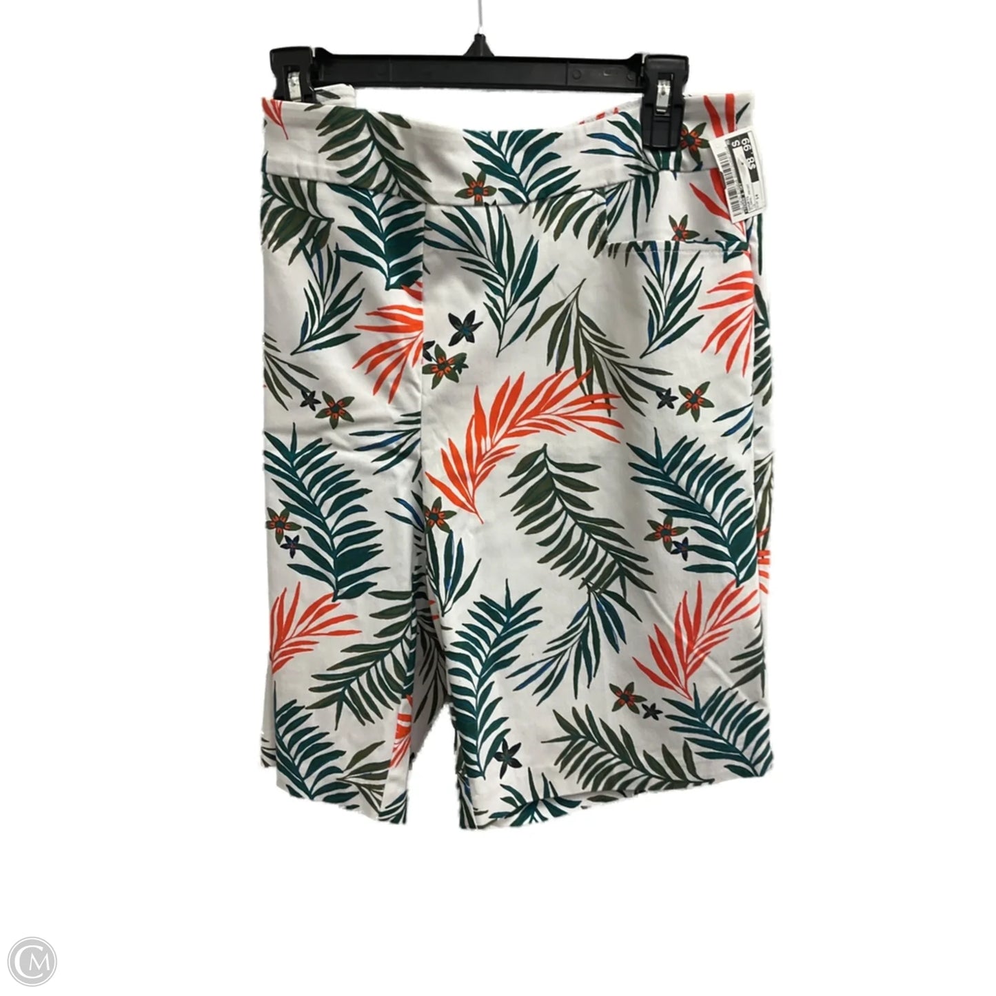 Shorts By Terra & Sky In Floral Print, Size: 14