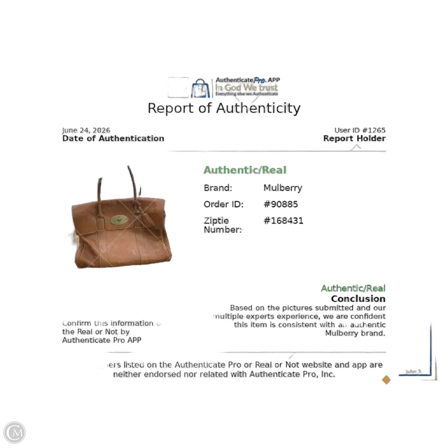 Handbag Luxury Designer By Mulberry, Size: Large