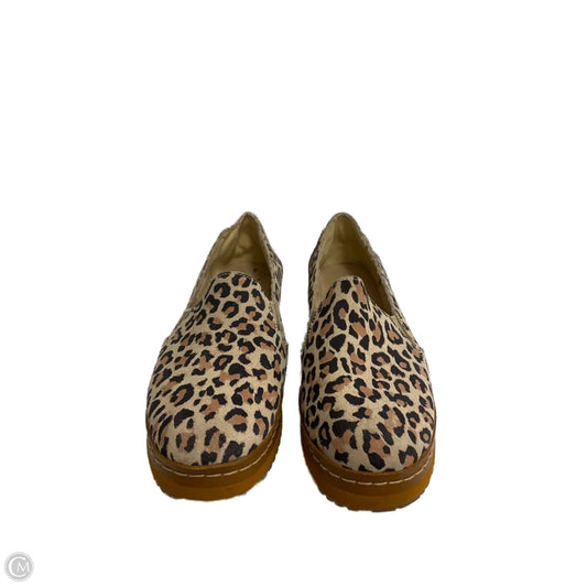Shoes Flats By Toms In Animal Print, Size: 8
