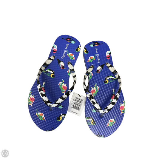 Sandals Flip Flops By Vera Bradley In Blue, Size: 6