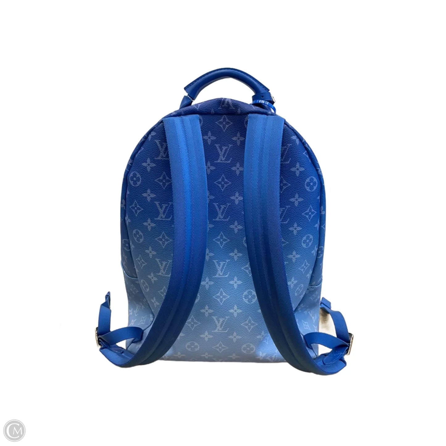 Backpack Luxury Designer By Louis Vuitton, Size: Large