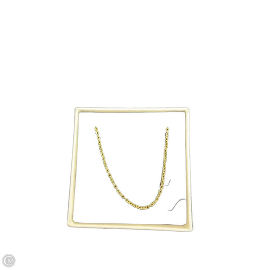 Necklace Chain By Clothes Mentor