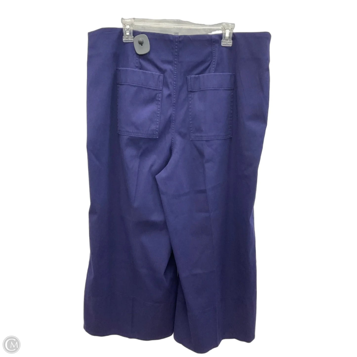 Pants Chinos & Khakis By Spanx In Purple, Size: 2x