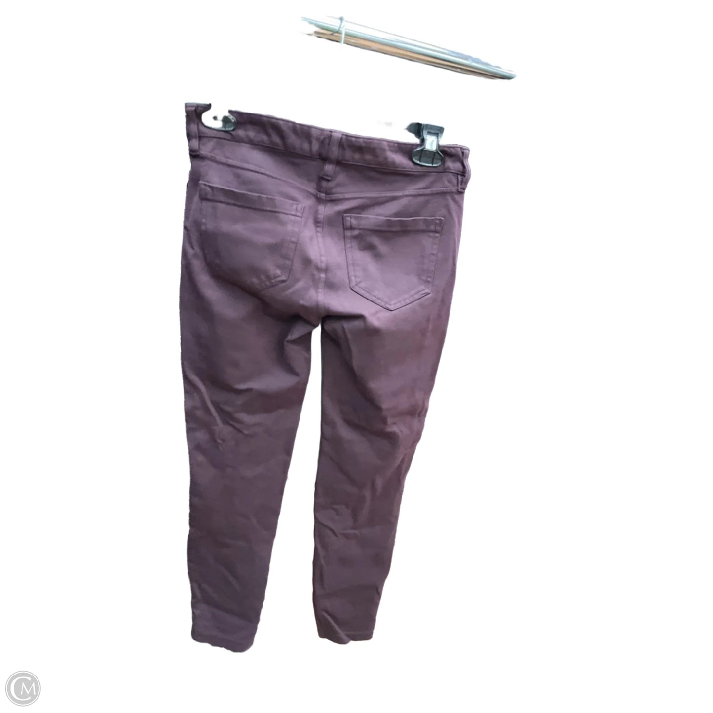 Pants Other By Liverpool In Purple, Size: 2