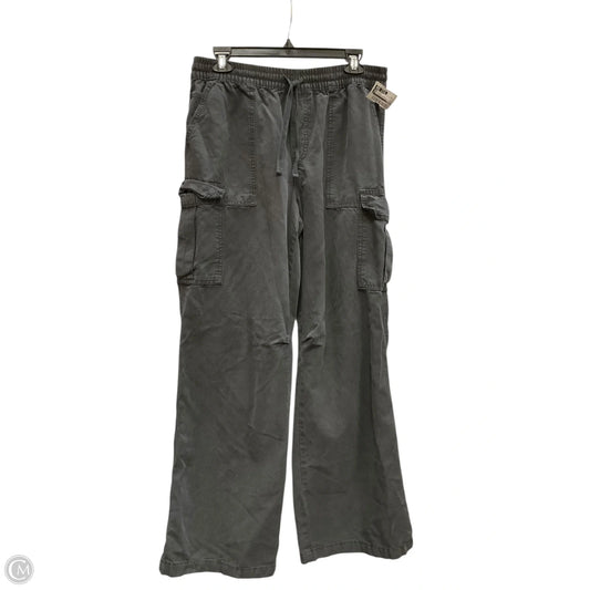 Pants Cargo & Utility By Aerie In Grey, Size: M