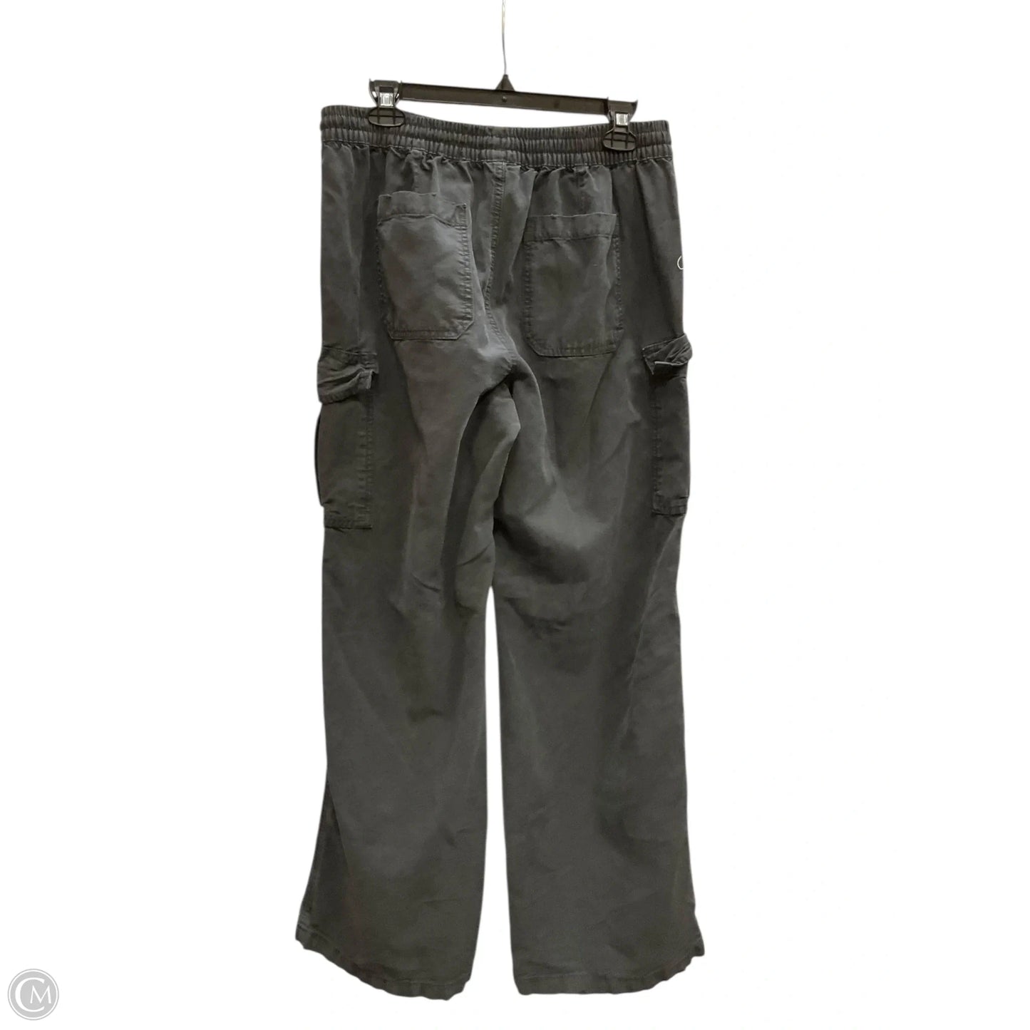 Pants Cargo & Utility By Aerie In Grey, Size: M