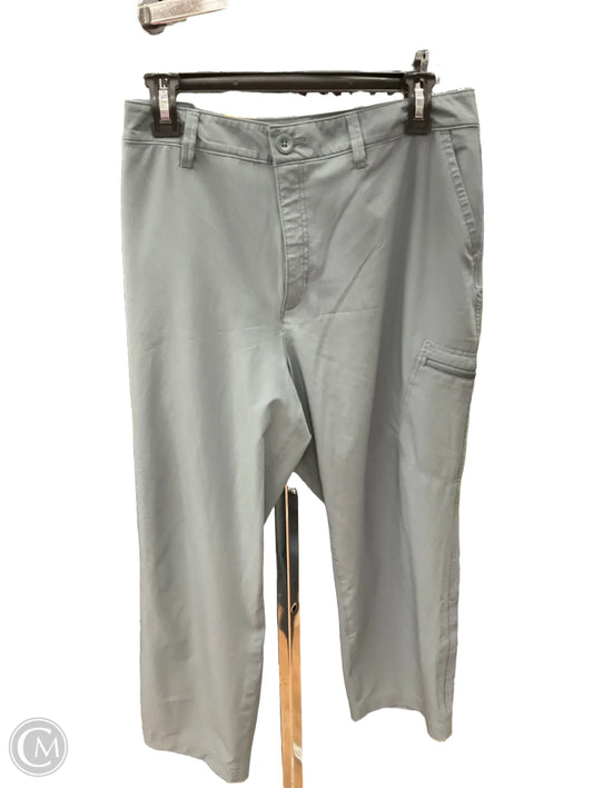 Athletic Pants By Eddie Bauer In Grey, Size: 16