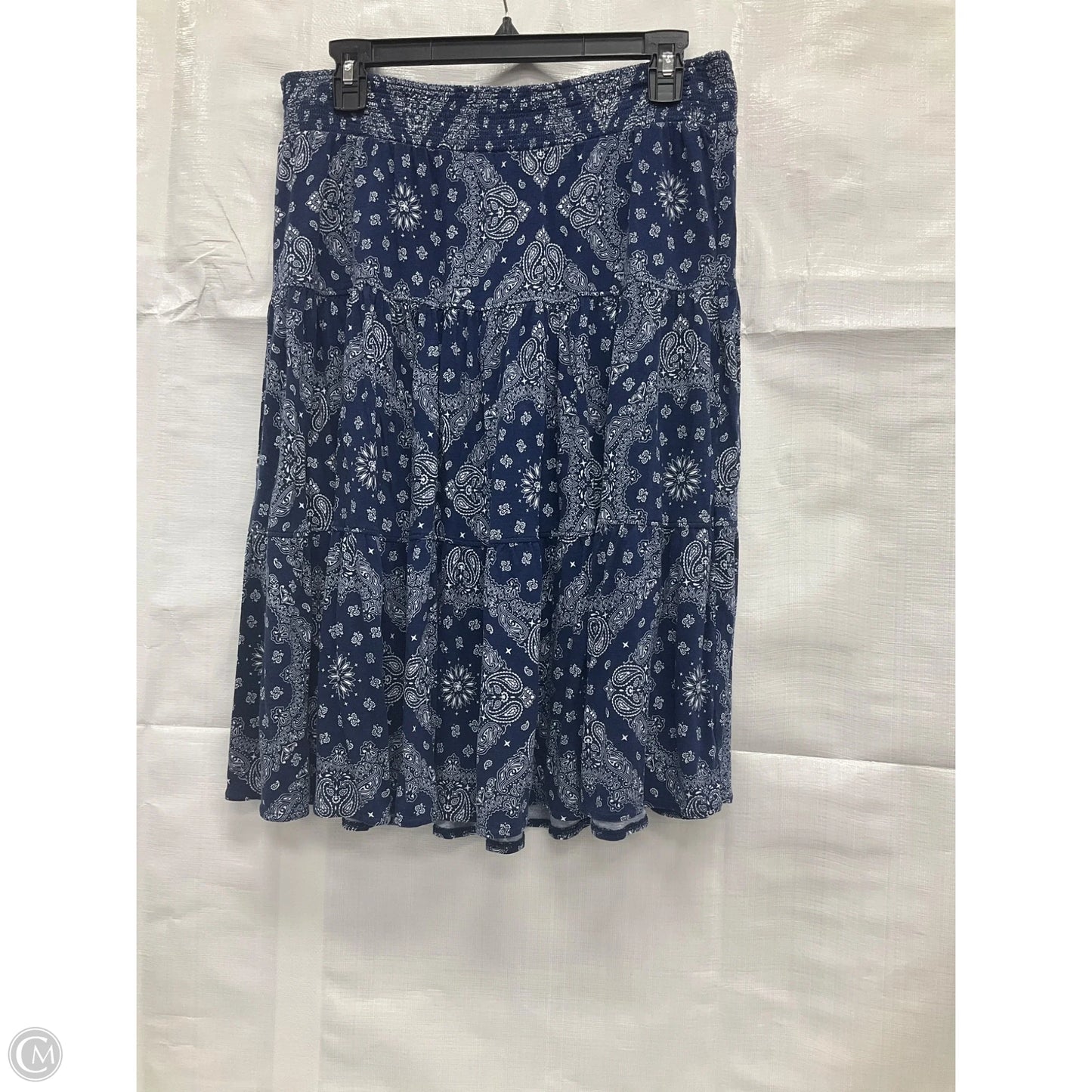 Skirt Maxi By St Johns Bay In Blue, Size: L