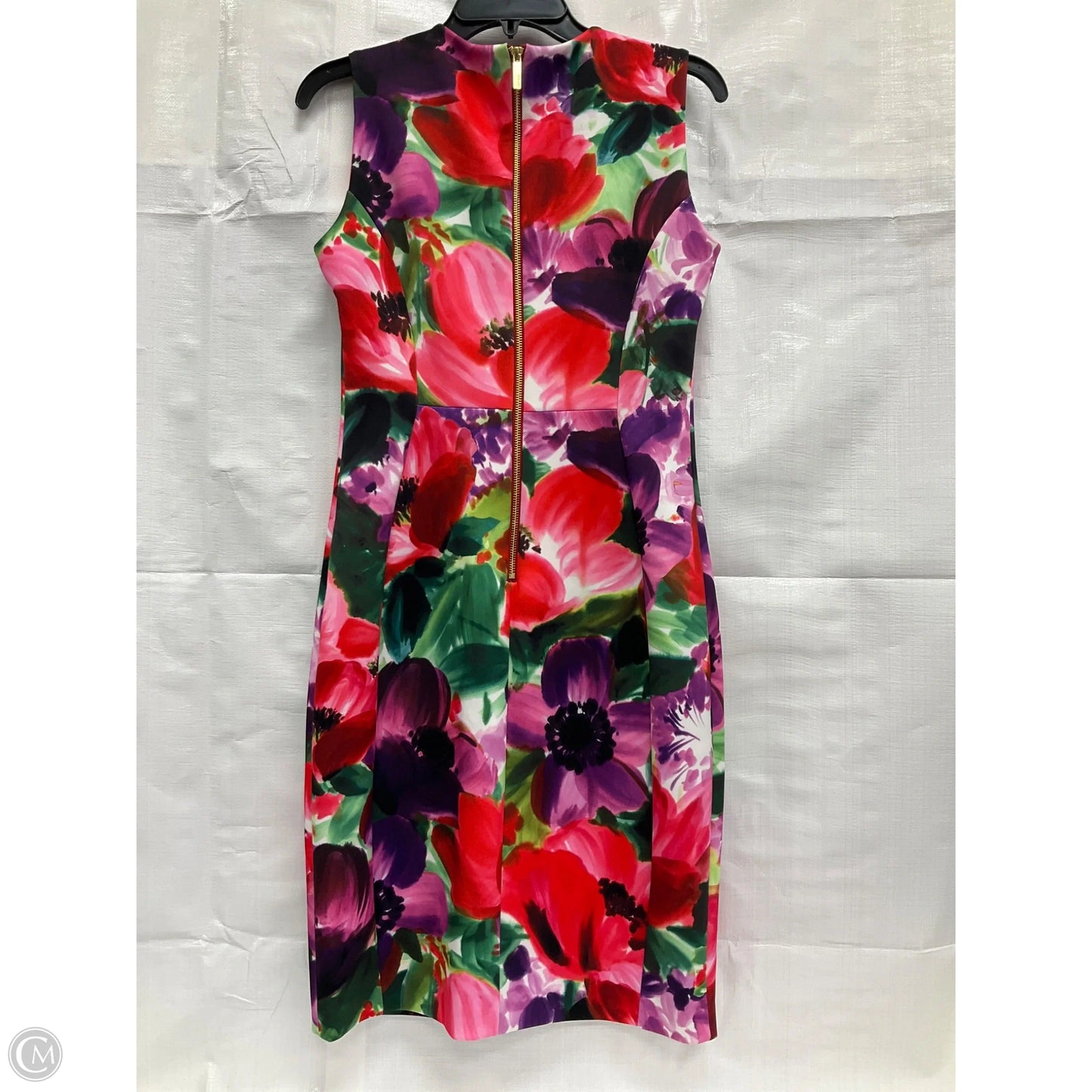 Dress Casual Short By Calvin Klein In Floral Print, Size: 6