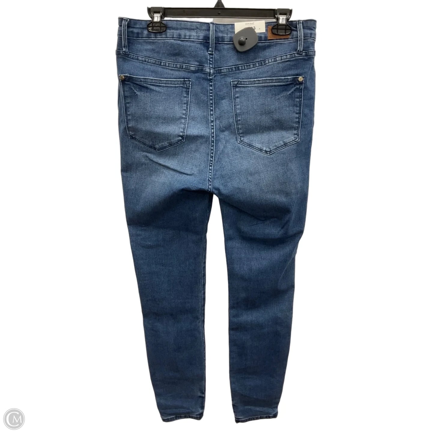 Jeans Skinny By Judy Blue In Blue Denim, Size: 14