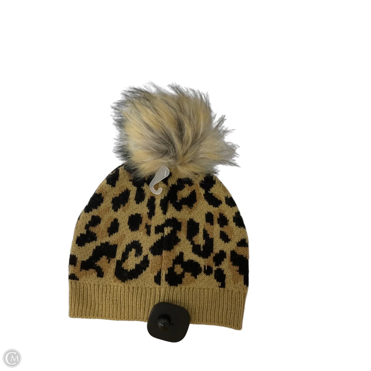 Hat Beanie By J. Crew