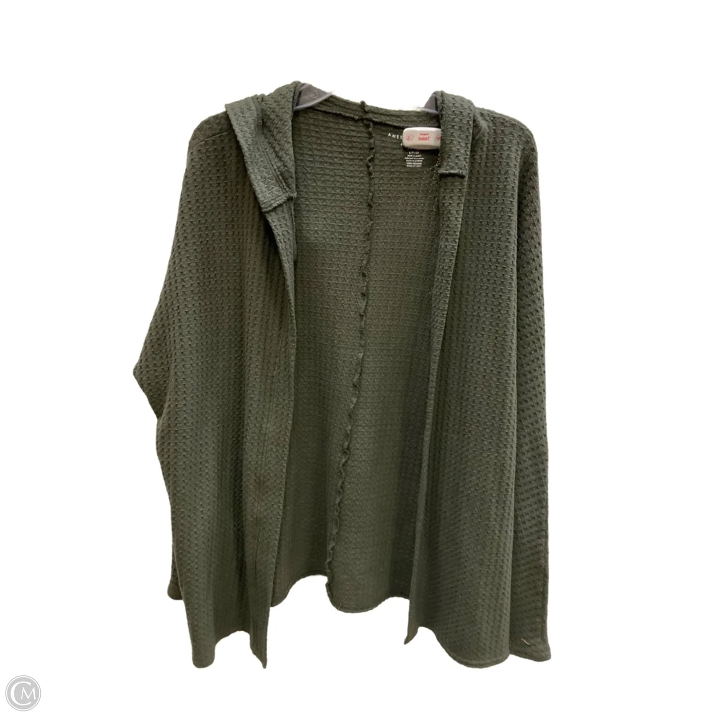 Sweatshirt Hoodie By American Eagle In Green, Size: S