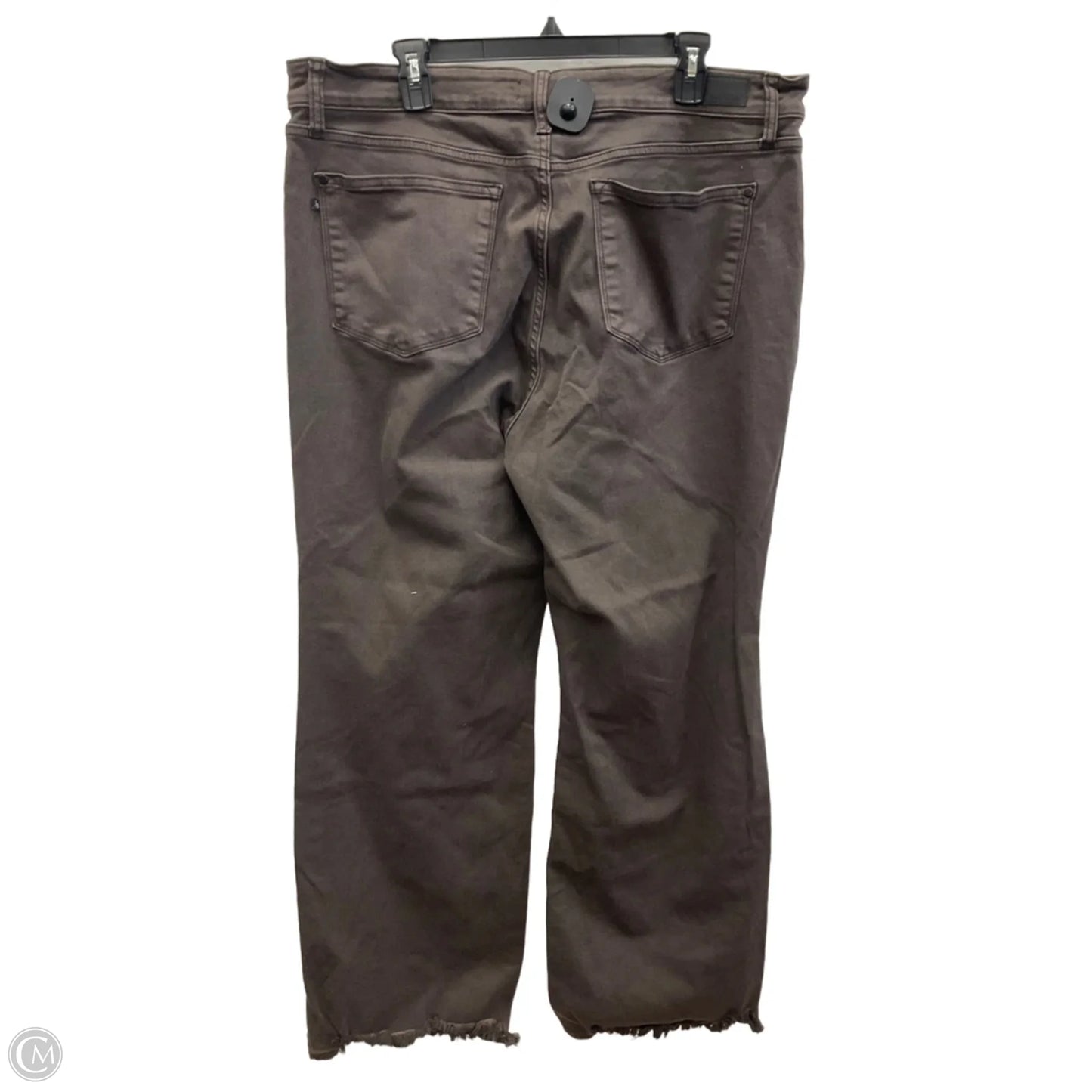 Pants Other By Judy Blue In Brown Denim, Size: 20