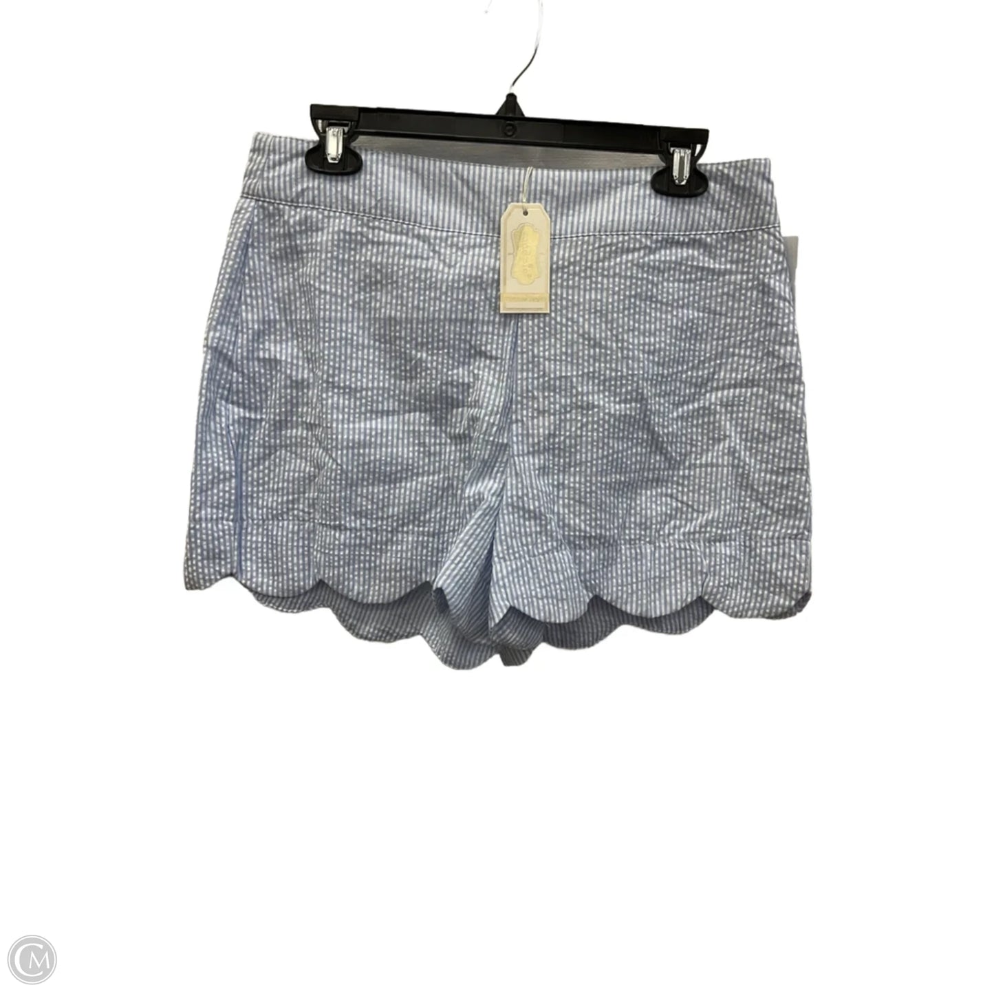 Shorts By Mudpie In Blue & White, Size: M