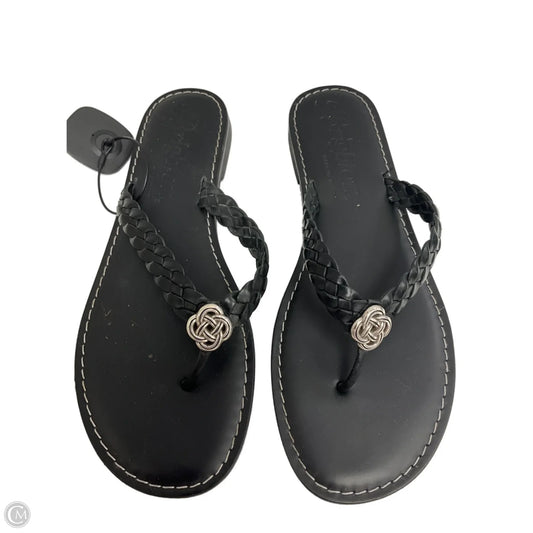Sandals Flip Flops By Brighton In Black, Size: 10