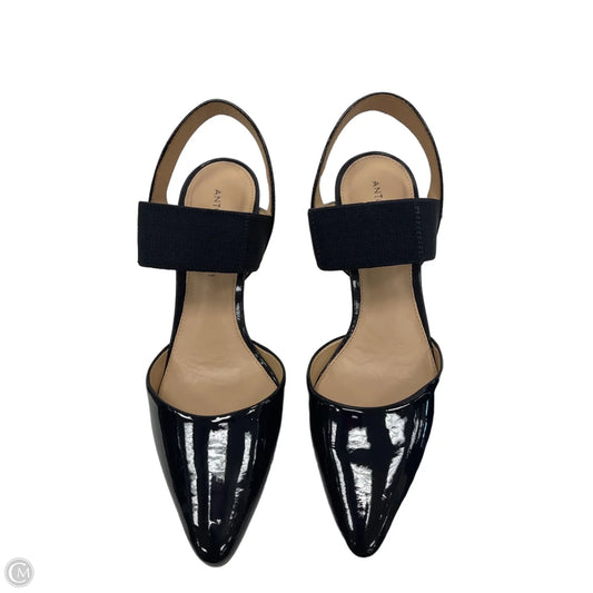 Shoes Heels Kitten By Antonio Melani In Blue, Size: 8.5