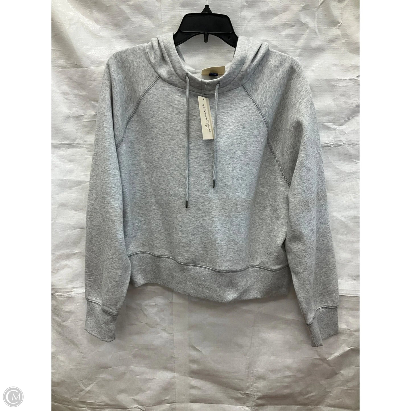 Sweatshirt Hoodie By Universal Thread In Grey, Size: Xl