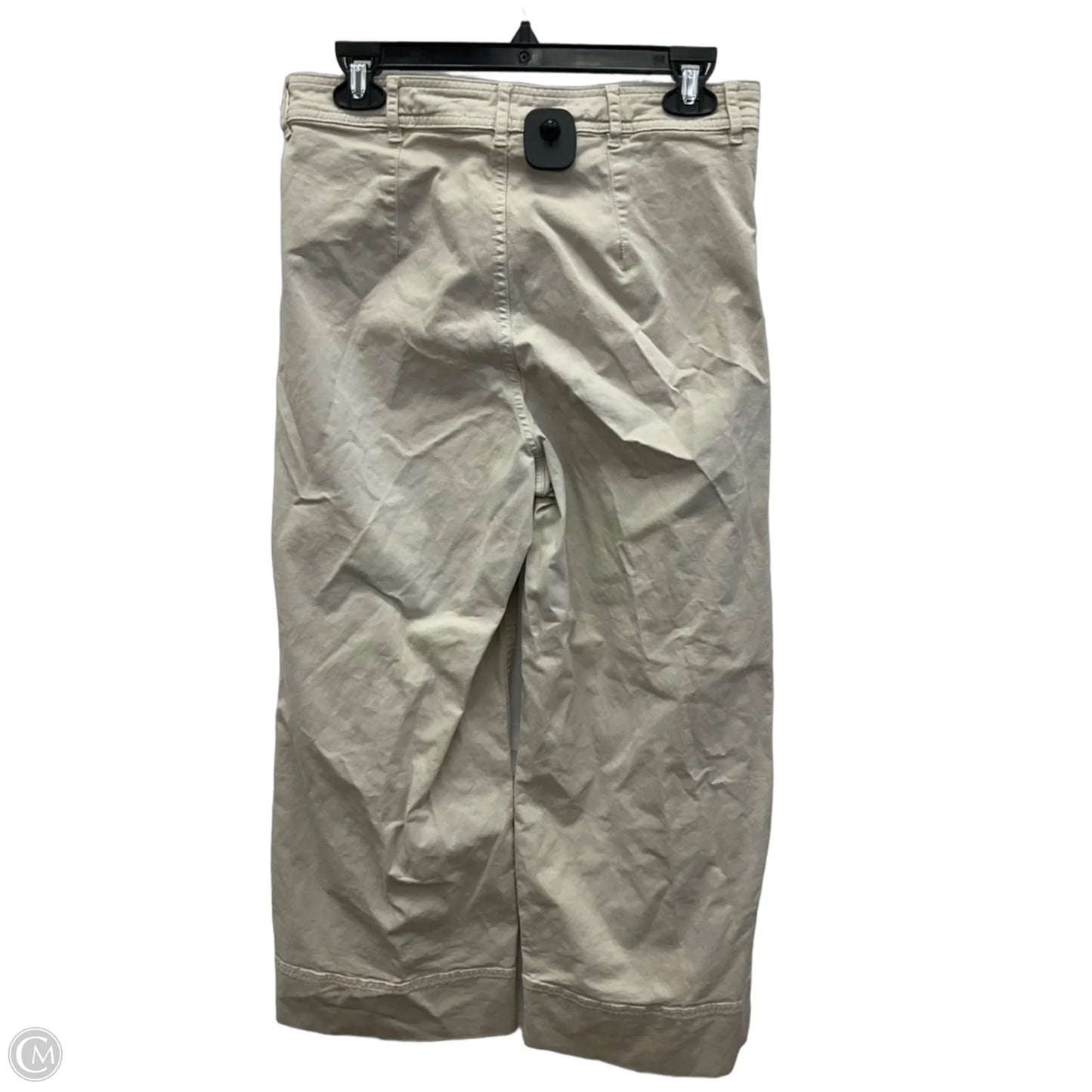 Pants Chinos & Khakis By Everlane In Tan, Size: 8