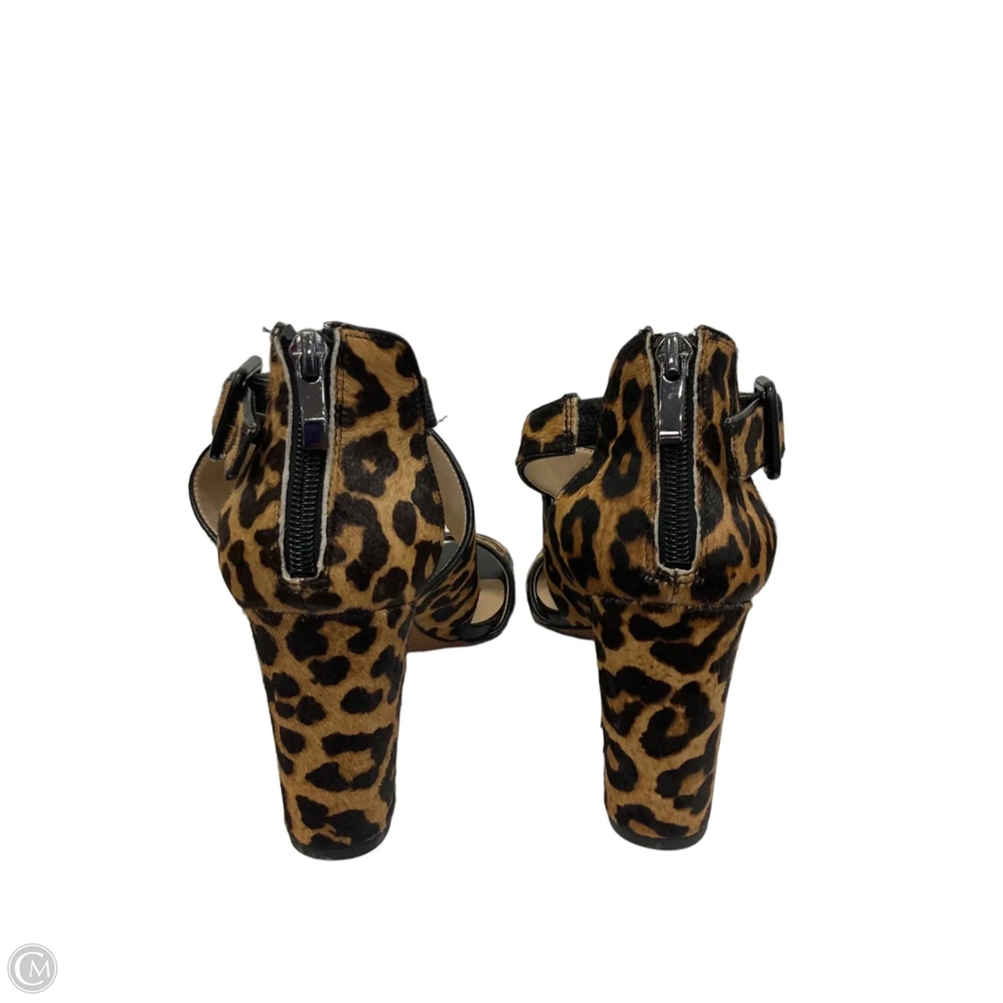Shoes Heels Stiletto By Franco Sarto In Animal Print, Size: 8.5
