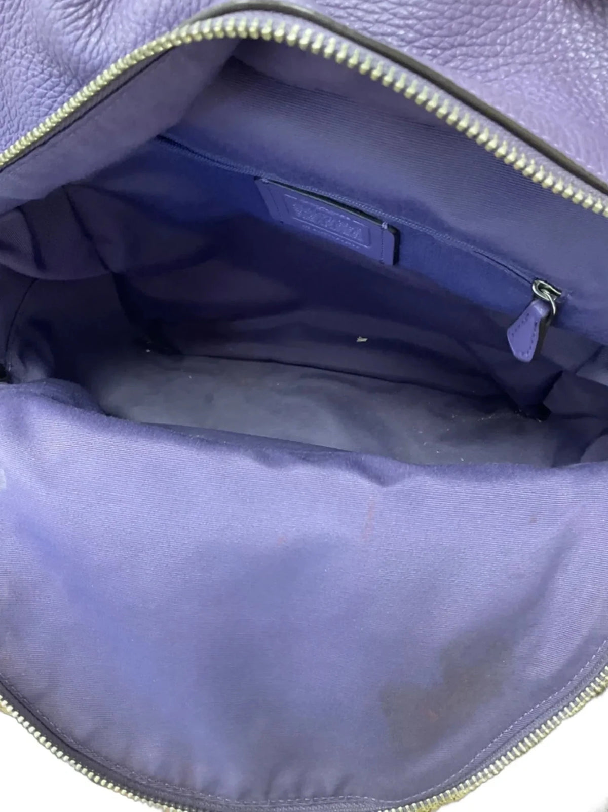 Backpack Designer By Coach, Size: Small