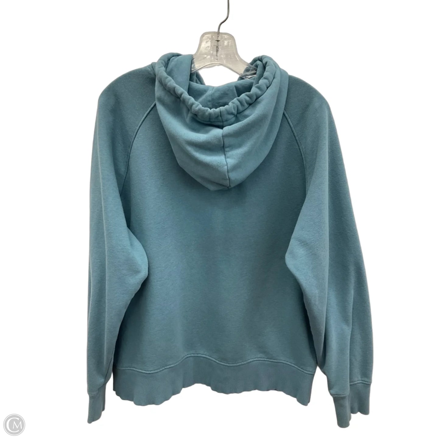 Athletic Sweatshirt Hoodie By The North Face In Blue, Size: L