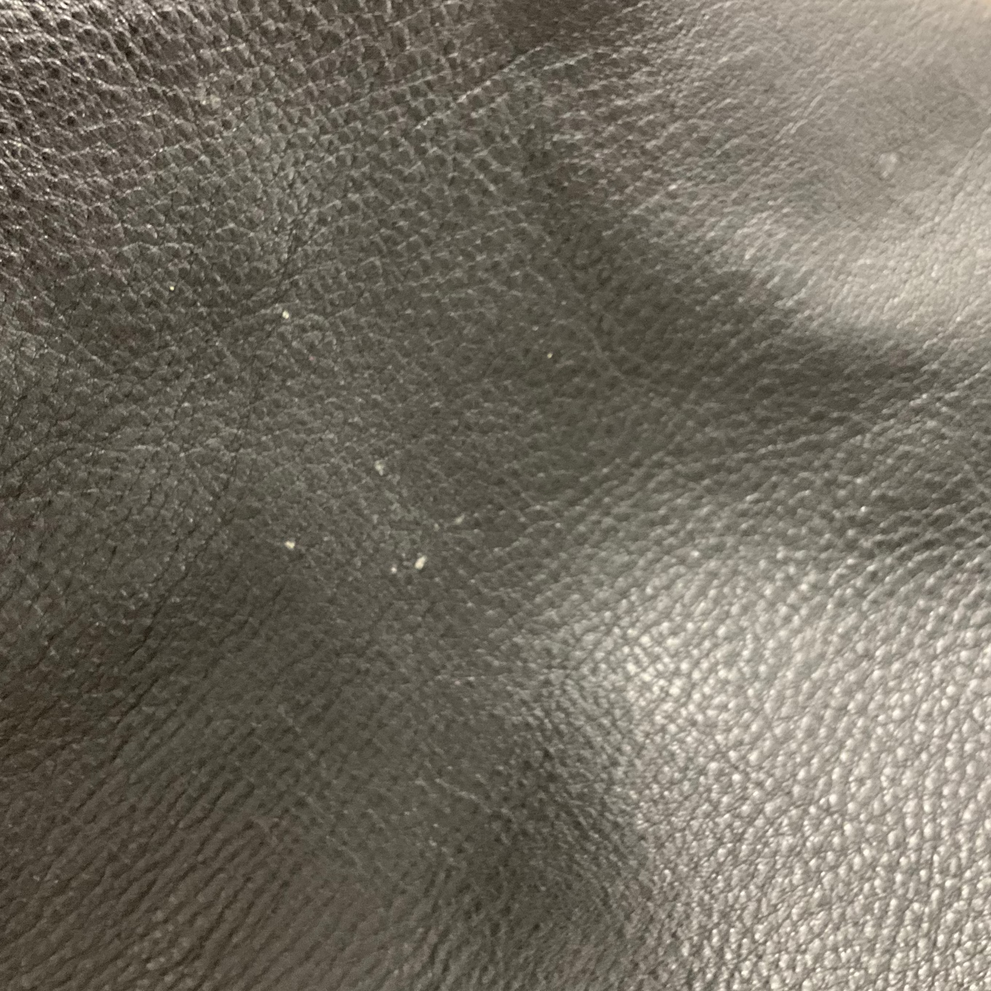 Tote Leather By Hammitt, Size: Medium