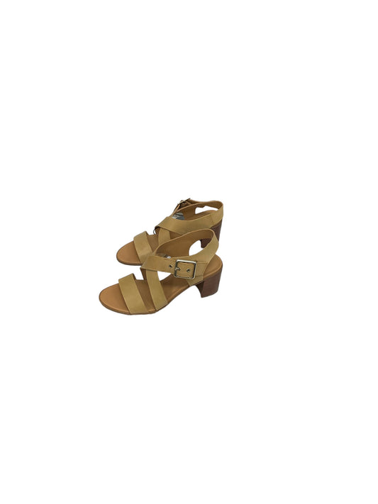 Sandals Heels Block By Franco Sarto  Size: 6